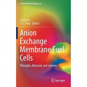 Anion Exchange Membrane Fuel Cells