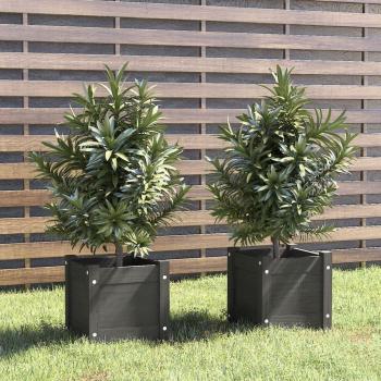 Floreiras de Pinho Maciço vidaXL 2 pcs 31x31x31 cm Cinza