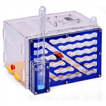 Ant Farm Acryl Mierenhuis met Voedingszone