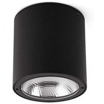 Goz LED Outdoor Surface Mounted Ceiling Light Dark Grey IP54