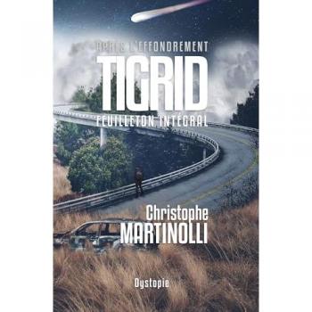 Après l'effondrement: Tigrid, feuilleton intégral (Après l'effondrement · Saga Post-Apocalyptique, Band 5)