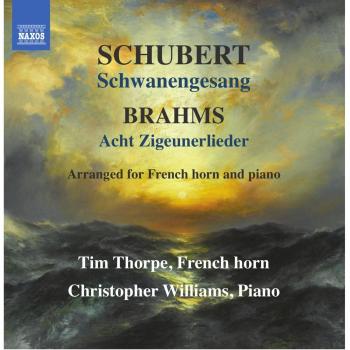 Schwanengesang per Corno Inglese e Pianoforte