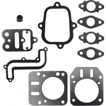 Fijador de Válvula Briggs Stratton 695289 / 690034