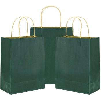 FiveSeasonStuff Pack of 24 Medium Vintage Green Kraft Paper Bags with Reinforced Handles