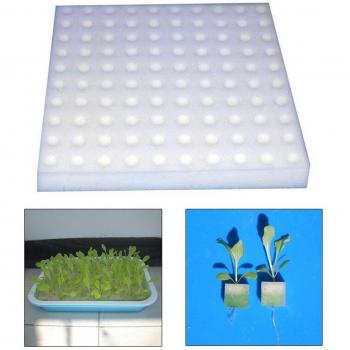 100 Stück Transplantations-Schwämme für Gartenarbeit