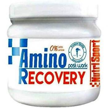 Amino Recovery Powder 260g