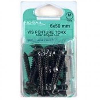 Ensemble de 25 vis penture Torx 6 x 40 mm