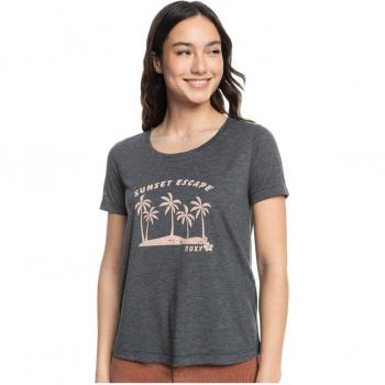 Anthracite Roxy Chasing The Wave Short Sleeve T‑Shirt, XL for Women