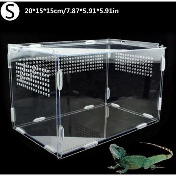 Boîte d'élevage pour grenouille