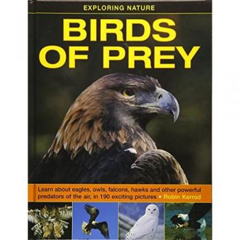 Exploring Nature: Birds of Prey Book