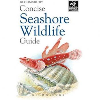 Concise Seashore Wildlife Guide