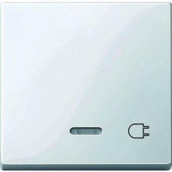 Merten Cache Interrupteur Blanc Polaire 1 pc System M