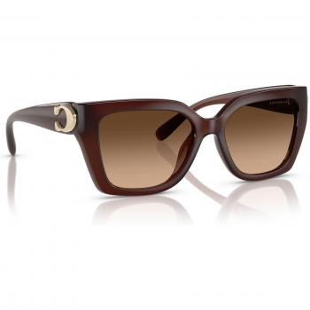 Occhiali da Sole Coach 0HC8408U Marrone