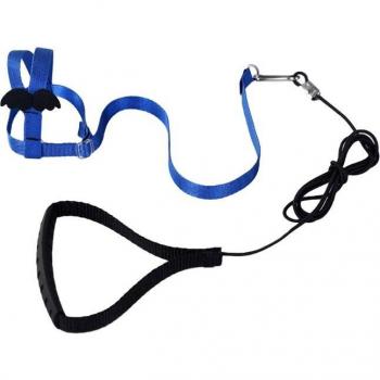 RopaAla TrainingSet