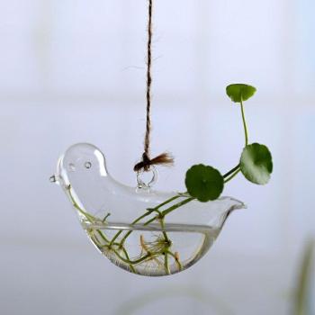 Macetas transparentes para decoración