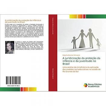 A juridicização da proteção da infância e da juventude no Brasil: Uma análise da (in)eficácia da aplicação das medidas socioeducativas no estado do Rio Grande do Sul