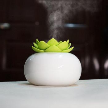Ceramic Essential Oil Diffuser