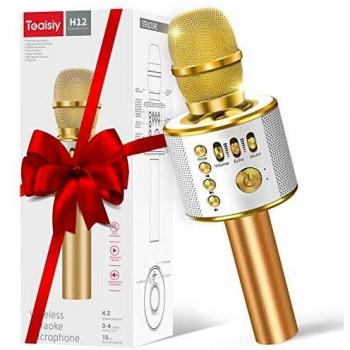 Teaisiy Microphone Sans Fil 5 en 1 Portable Karaoke En