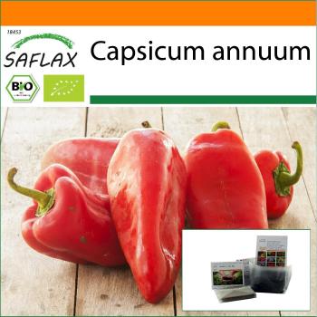 Cápsicum GreenGrow: Jugo de Jardín con Semillas Long Red Marconi
