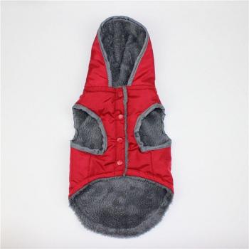 Ropa de invierno para perros