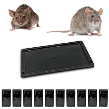 Plaques de Glue XXL pour Souris et Rats [10 pcs] – Efficacité Maximale