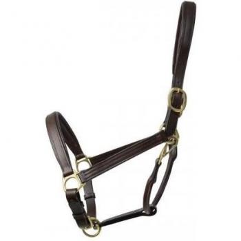 Weiches Coldstream Lederhalsband Cob schwarz