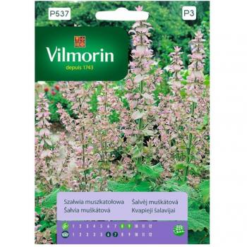 Salvia Esclarea 1 g de Vilmorin