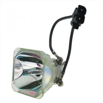 NP-V300XG Projector Lamp Replacement