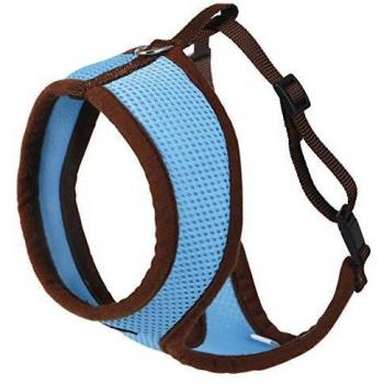 Blue Cat Harness with Leash