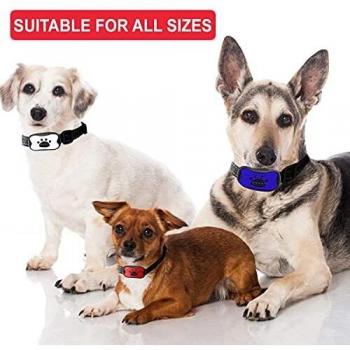 Paws and Claws 3 In 1 Anti Barking Dog Collar