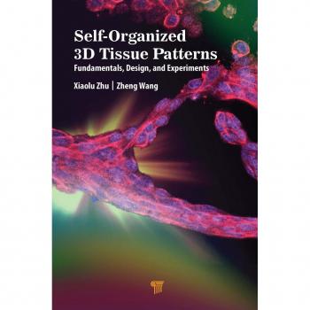 Self-Organized 3D Tissue Patterns