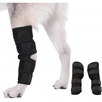 Langray Braces para Piernas de Perro – Lateral Superior