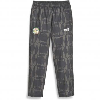 PUMA Jogginghose Senegal FtblCulture 2023 Herren