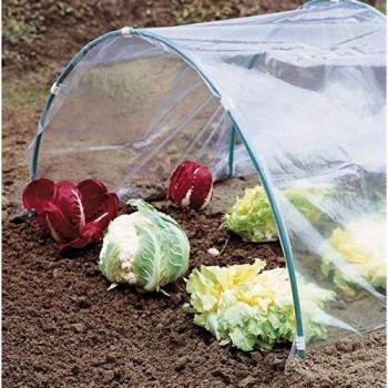 VERDEMAX 2539 Serra Trasparente Pellicola in PE 2 x 5 m