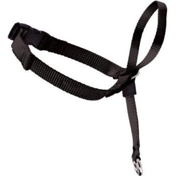 ComfortStride Head Collars
