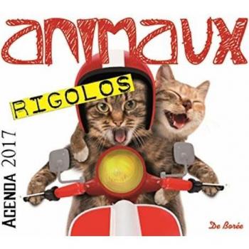 Agenda animaux rigolos