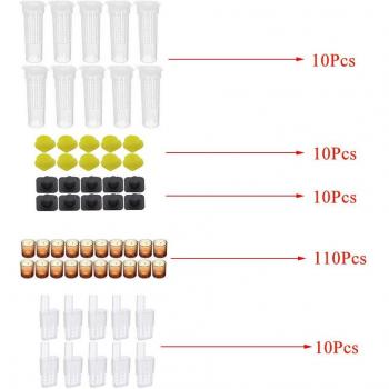 Bee Rearing Kit with Cell Bases and Tools