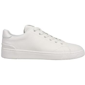 Tom's Lightstep Trainers 2.0