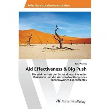 Aid Effectiveness & Big Push: Die Wirksamkeit der Entwicklungshilfe in der Diskussion und die Weiterentwicklung eines lohnenswerten Experimentes