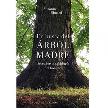 En busca del Árbol Madre: Descubre la sabiduría del bosque