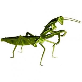 Gottesanbeterin 3D Papiermodell von Fridolin
