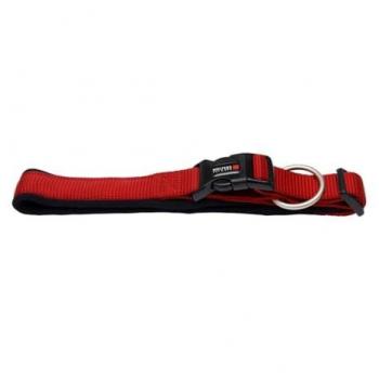 Collare di Sicurezza Wolters 25-28 cm con Guinzaglio