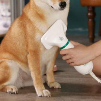 Brume sèche-cheveux pour chats et chiens