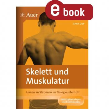 Auer Verlag Skelett und Muskulatur