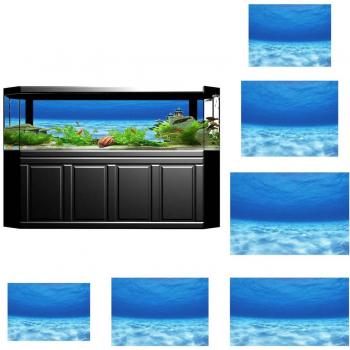 Underwater Scene Background for Photo Studio