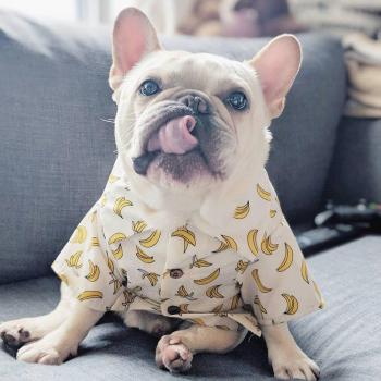 Coton Tropical Bulldog Shirt