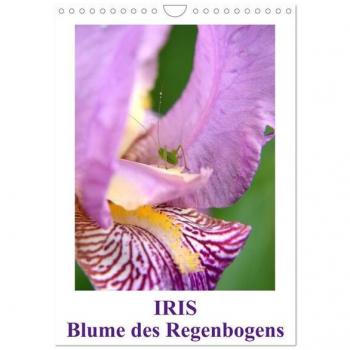 Iris Blume des Regenbogens (Wandkalender 2025 DIN A4 hoch) CALVENDO Monatskalender