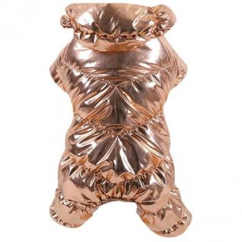 Tenue hivernale pour bouledogue français