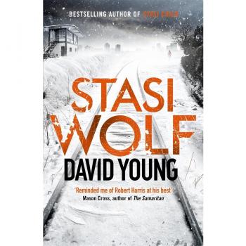 Stasi Wolf by David Young 9781785760686 NEW Book