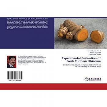 Experimental Evaluation of Fresh Turmeric Rhizome: (Curcuma longa) Juice as Topical Medicament on Wound Healing in Buffalo-Calves